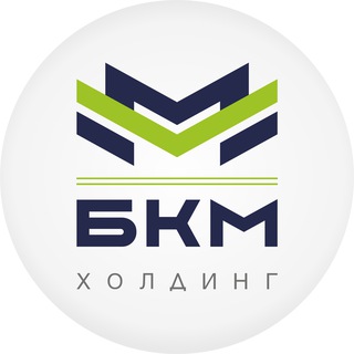 БКМ Холдинг