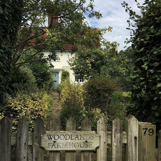 ♡︎Чат ⲟⳝⲙⲉⲏа ♡︎