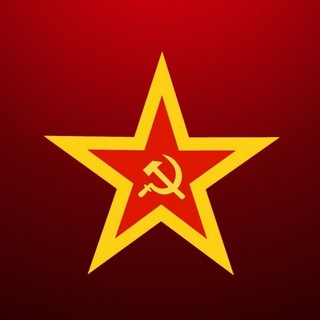 Военвед СВО