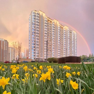 7 фаза ПБ(2023)🌃