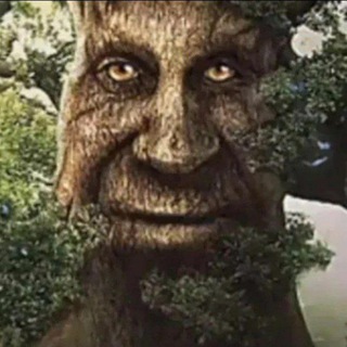 Чат админов канала melon playground or okosik