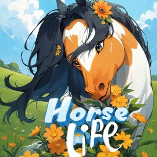 Общение { Horse Life }