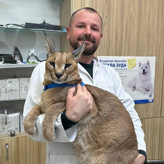 Доктор Василий-Крымский Айболит