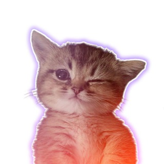 Пиар Чат Роблокс 👋