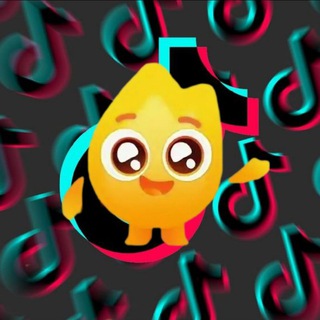 T I K | T O K | M O D S