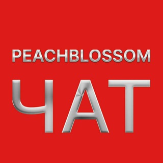 PeachBlossom Chat: Первый Конспирологический Чат