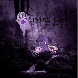 беседа Crying cats💜