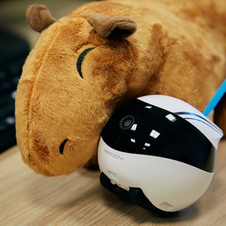 Клуб друзей робота-друга RED SOLUTION