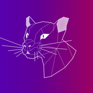 Discord Insider — Новости Дискорда