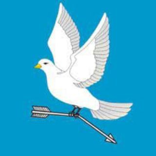 Поселок Михайловский 64