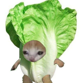 Капустный чат репостов/обмена/общения/самопиара