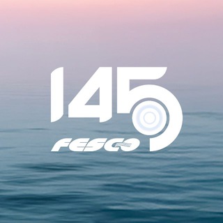 Транспортная группа FESCO