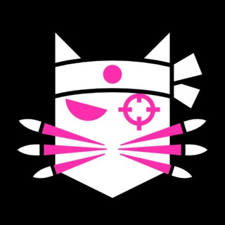 Розвідка Ноєм