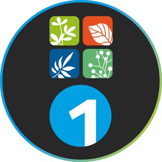 ГК «ЦП» и 1 СТУДИЯ ПОЛИВА