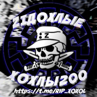 Z|ДОХЛЫЕ ХОХЛЫ|ЧАТ