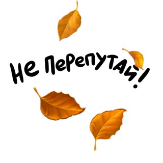 Не перепутай! ✔