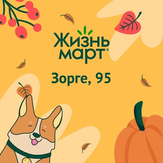 Чат друзей Жизньмарта, Казань, Рихарда Зорге, 95
