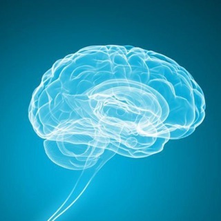 Секретный чат НЕЙРО