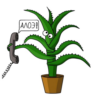 Буквальность