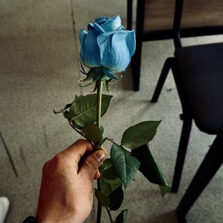 Личный чат бот