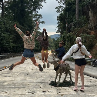 Девушки путешествуют