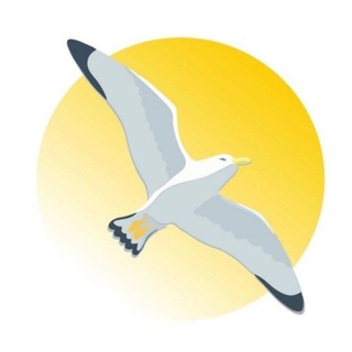 🌞Солнечный Круг