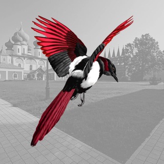 Тихвинская сорока ️