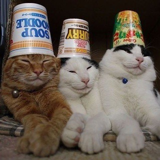 Чат для общения/беседа /аниме/общение /знакомства /роблокс/ конфа /чатик