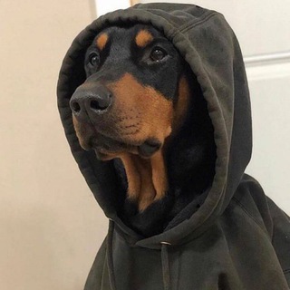 Чат для подростков 😏