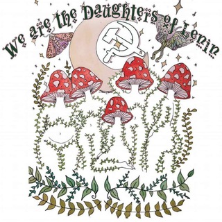 Микродозинг, мухоморы, энтеогены🍄