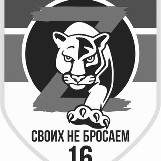 Своих не бросаем 16. Казань