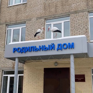 Роддом ОКБ№2