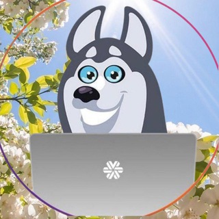 SW_Kaliningrad_LIVESTORE