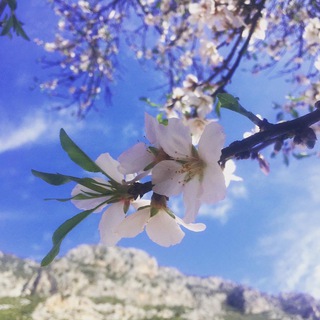 Женский чат / Наши в Каше