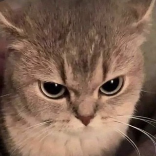 Иркутск общение | Ищу парня, девушку в Иркутске иркутск знакомства иркутская область ищу друзей друга подругу | Чат группа