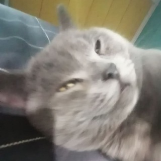 ✨ᴍᴀʀᴛɪɴʏss.ᴀᴇᴘ