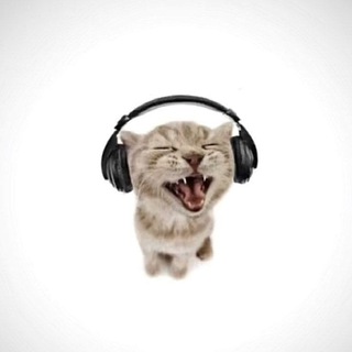 Фотобатлики💋