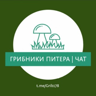 Чат 🍄 Грибники Питера и Лен. Области, Карелии – Отчеты | Места | Общение