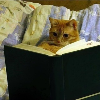 Подпольные Мастера.