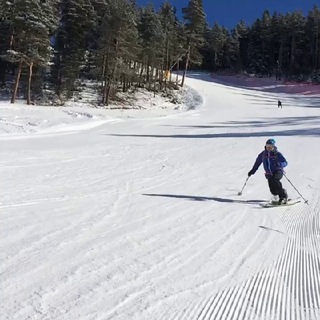 Telemark СПб чат
