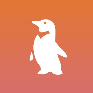 nohide.io Chat🐧