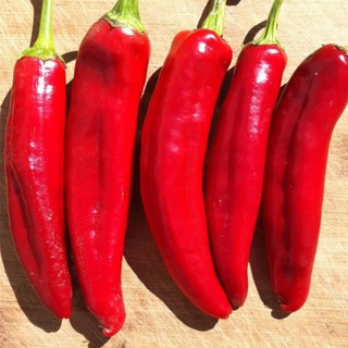 ПАПРИКА .🌶️🌶️🌶️(Ростов на Дону)