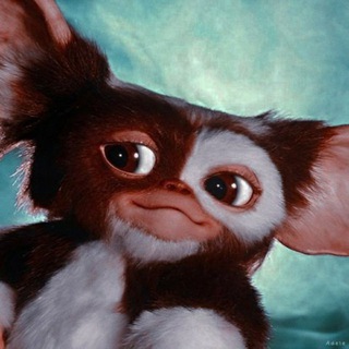 Комната друзей Берри🐯