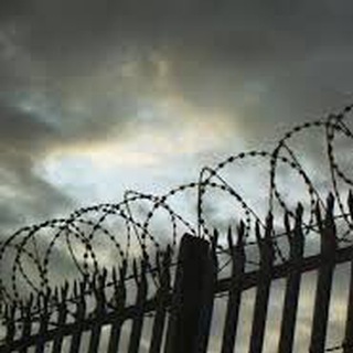 Свободный Белгород