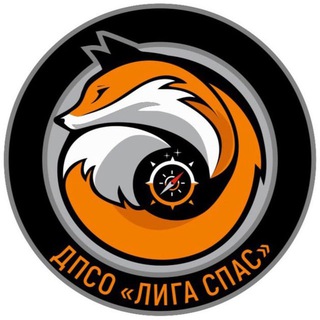 ДПСО «Лига Спас»