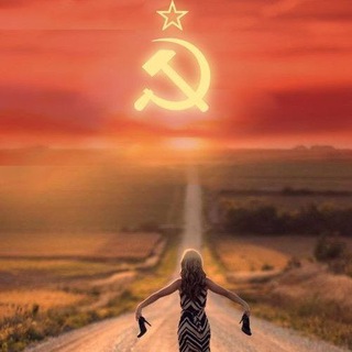 Рыжий котенок