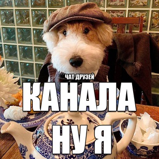Чат друзей канала ну я