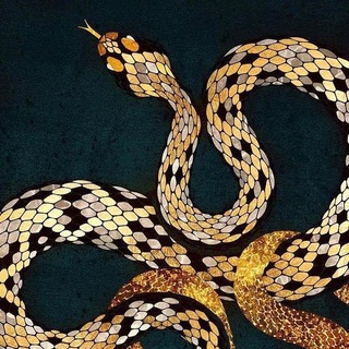 VIPER OTC🐍 || Верификации🥇