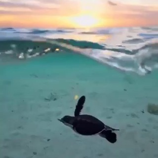 Жизнь с нуля В ТУРЦИИ АЛАНИЯ 🇹🇷