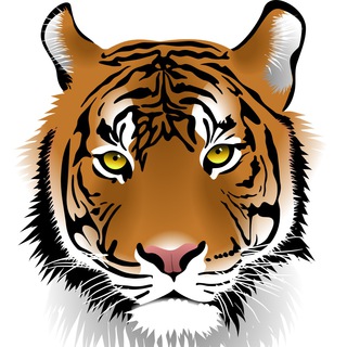 Cracked Apps 101. Windows & Android (Safe and Tested)